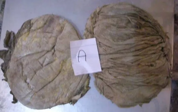 Beef Omasum